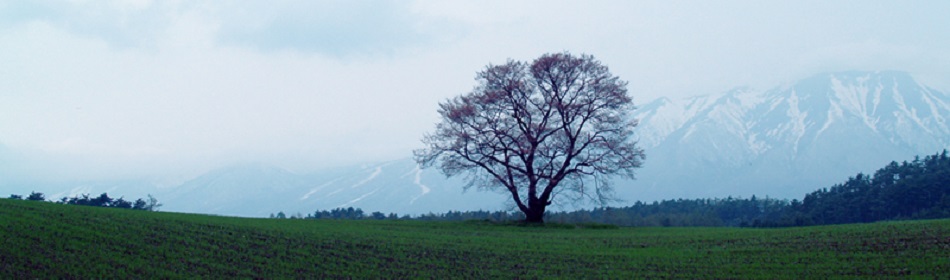 個人情報保護方針TOP
